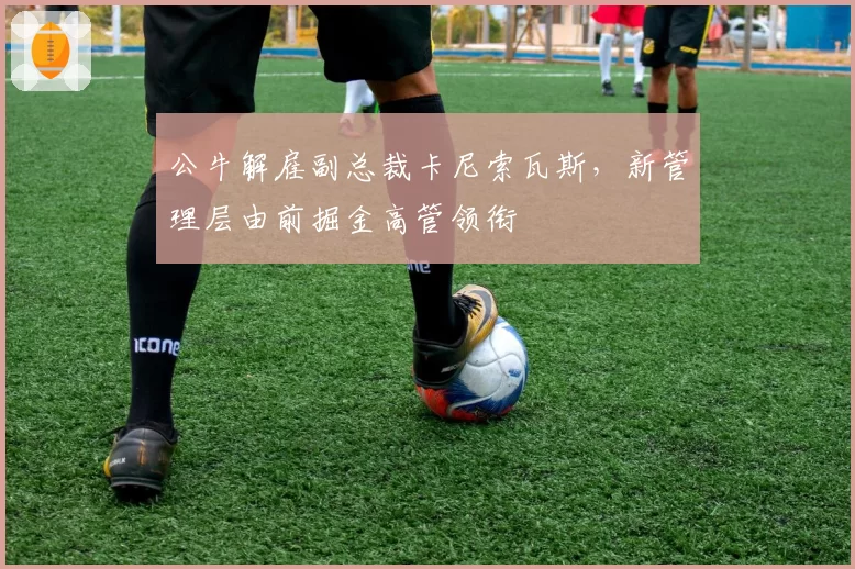 公牛解雇副总裁卡尼索瓦斯，新管理层由前掘金高管领衔