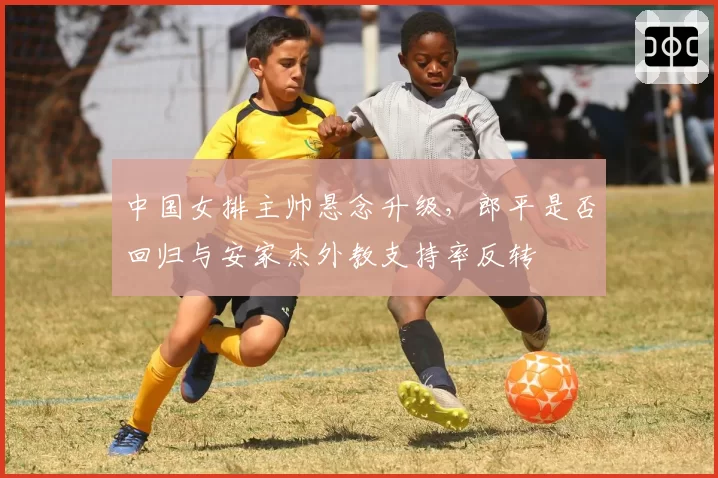中国女排主帅悬念升级,郎平是否回归与安家杰外教支持率反转
