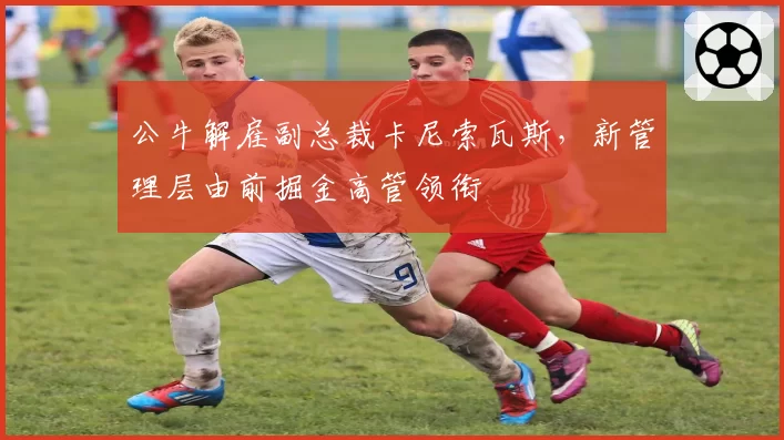 公牛解雇副总裁卡尼索瓦斯，新管理层由前掘金高管领衔